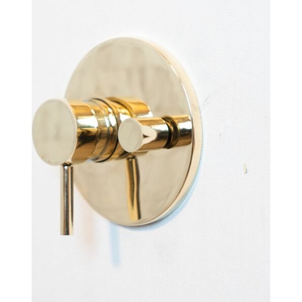 Antique Brass Concealed Shower - Image 12