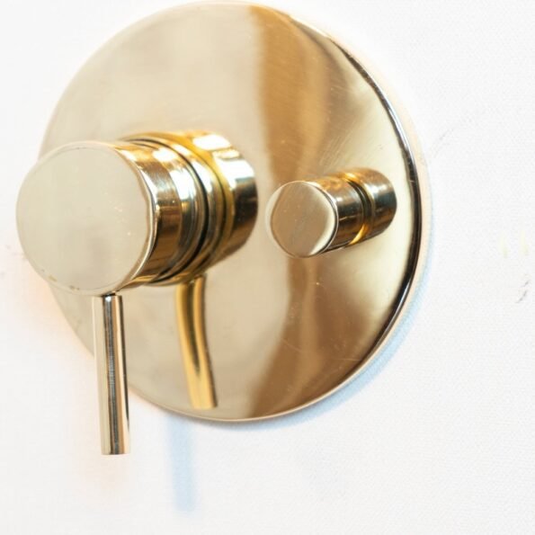 Antique Brass Concealed Shower - Image 13