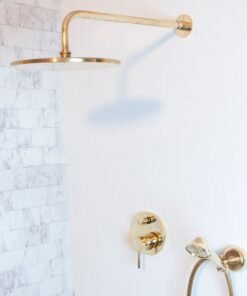 Antique Brass Concealed Shower